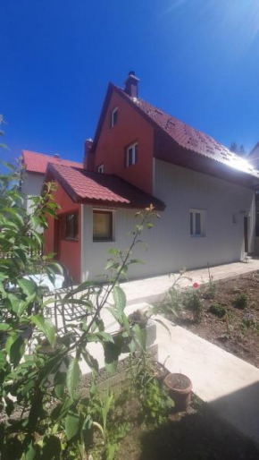 Large Family House